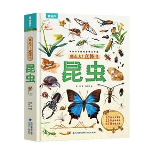 那么大!昆虫立体书 法布尔昆虫记儿童绘本3D立体翻翻玩具书4-6到10岁小学生一二三年级动植物科普百科书籍幼儿园揭秘奇趣昆虫图画