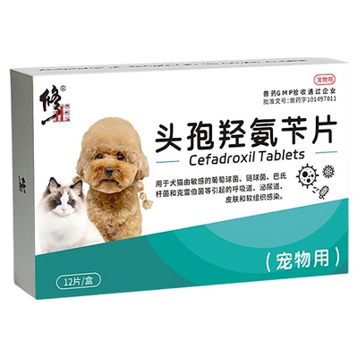修正宠物消炎药狗狗猫咪用