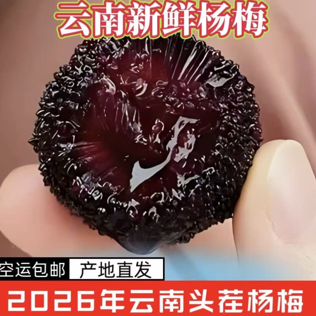云南东魁杨梅当季新鲜大杨梅现采现发黑甜可口空运冷链送礼包邮