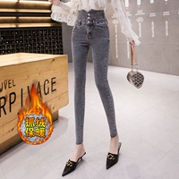 Синий серый [крабовые дольверы]