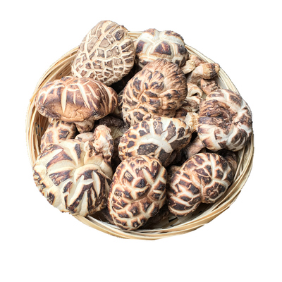 椴木花菇木头生长花菇一斤装包邮