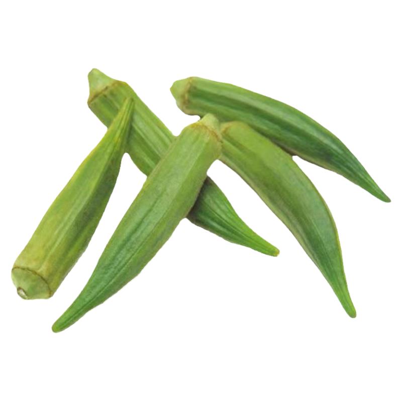 黄秋葵苗子黄秋葵秧苗四季蔬菜苗