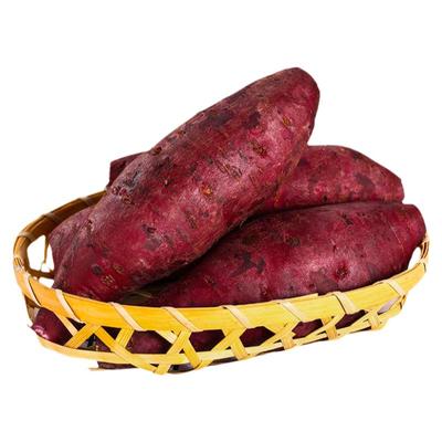 广东沙地紫薯新鲜现挖香甜