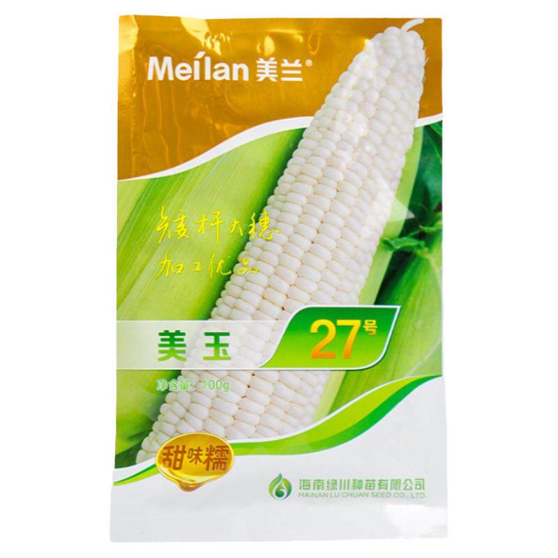 寿禾白糯高产玉米种子香甜粘糯