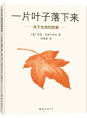 一片叶子落下来关于生命的故事