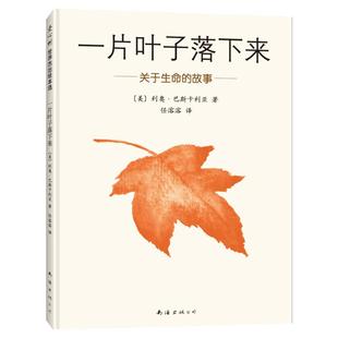 一片叶子落下来:关于生命的故事 3-6岁儿童书籍图画书正版幼儿早教故事绘本亲子启蒙漫画绘本推荐书幼儿园小中大班绘本
