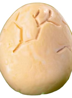 苔藓微景观创意可爱小鸟喂食摆件