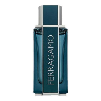 【24期免息】FERRAGAMO菲拉格慕菲常革调男士浓香水100ml