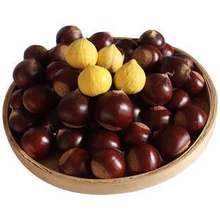 新鲜福建建瓯锥栗高山油锥生尖栗子自种现摘毛锥栗板栗超大5斤