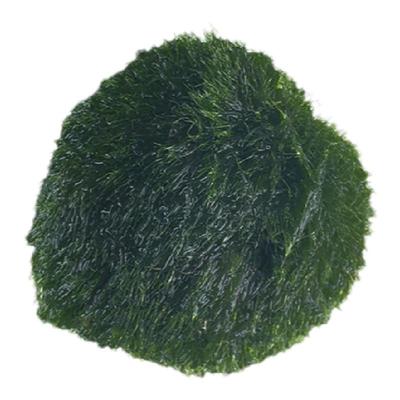 marimo马里专用幸福海藻球