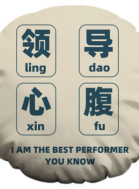 领导心腹大患圆形抱枕定制