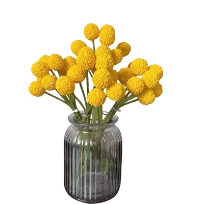 黄金球干鲜花母亲节花束永生花