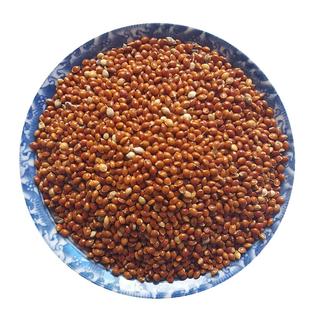 黍子糜子大黄米粘黍子带壳杂粮北方黍米婴儿枕头褥子填充五谷杂粮