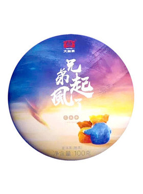 大益普洱茶2019年兄弟起风了熟茶