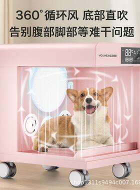 悠萌智能宠物烘干箱A801猫咪烘干机狗狗洗澡吹风吹水机烘干风干