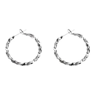 轻奢圆圈大耳圈女小众高级感夸张碎银耳钉耳饰冷淡风圆脸素圈耳环