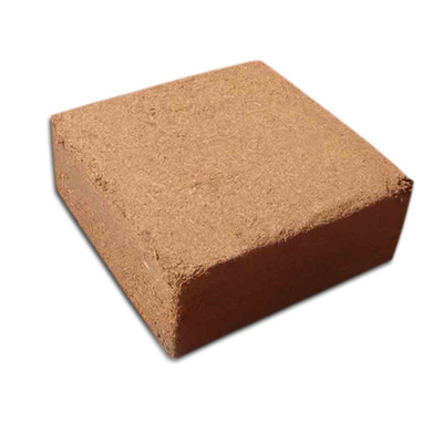 进口椰砖兰花种菜营养乌龟冬眠