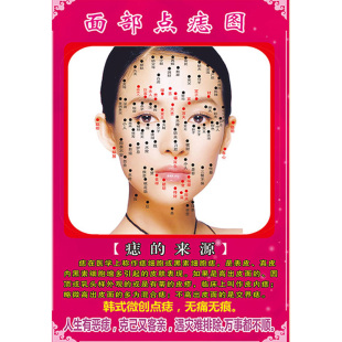 面部皮肤生理图片皮肤结构图解剖图海报挂图美容皮肤科挂画宣传画