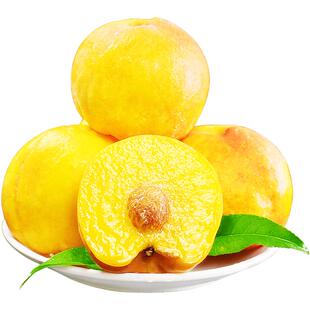 黄桃黄金蜜桃子新鲜水果当季整箱大果蒙阴蜜桃砀山毛脆甜桃包邮
