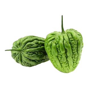 各种苹果苦瓜种子种籽苗苗子四季秧蔬菜南方种孑嫁接瓜苗秧苗大全