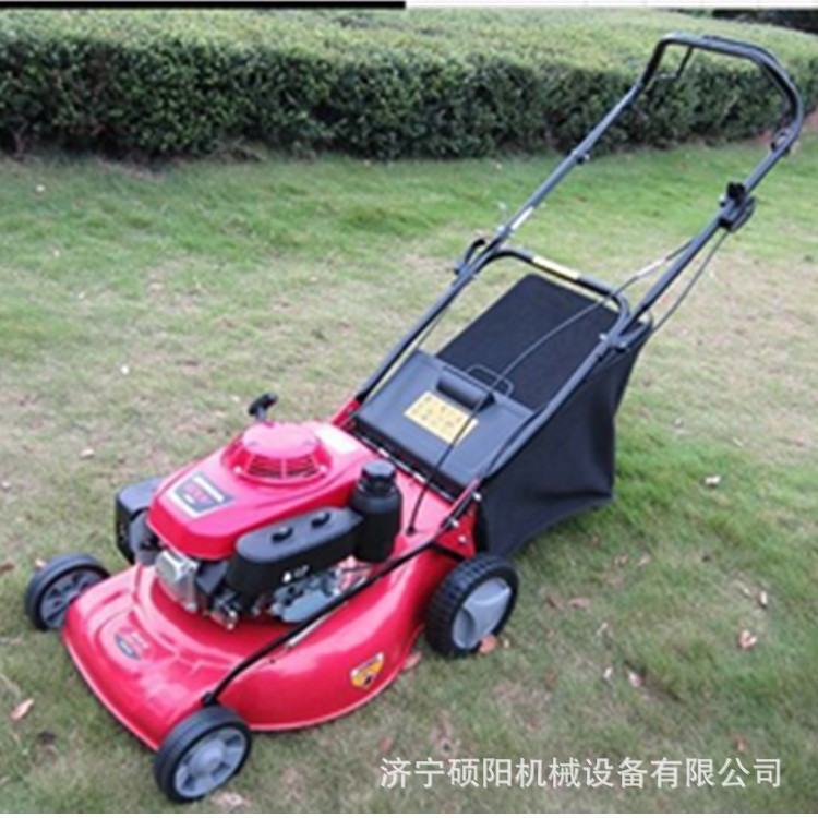 GXV160手推汽油草坪机 手推式割草机 汽油割草机生产厂家