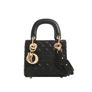 官网送生日礼物轻奢包包2026新款高级感单肩斜挎包手提包戴妃包女