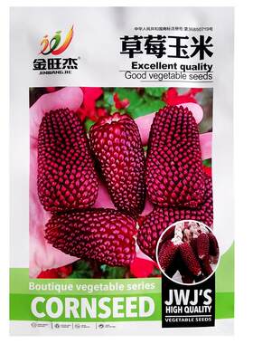 草莓玉米种子鲜食生吃蔬菜种子