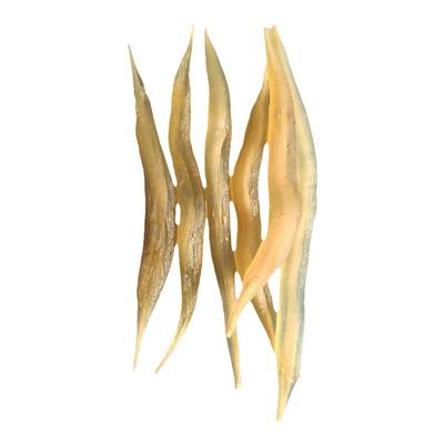 现挖新鲜天门冬酿酒富硒土地天冬