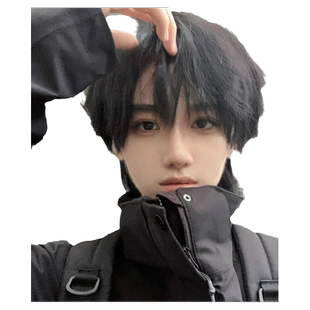 纤韵佳人日系少年短发基佬毛狼尾鲻鱼头假发男万用cos全头套式