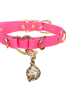 PUPPYRIDER温感变色项圈