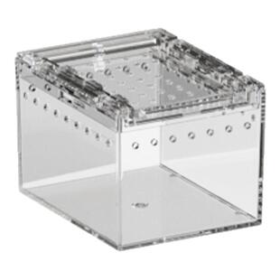 BG小型爬虫昆虫饲养盒亚克力人渣盒蜘蛛独角仙蜗牛螳螂甲虫生态缸