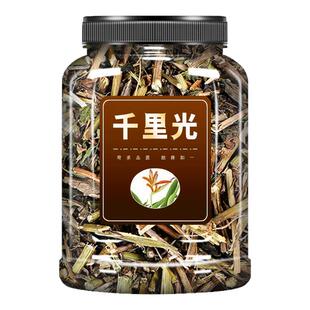 千里光中草药500g克正品中药材九里光黄花母新鲜野生小孩洗澡泡澡