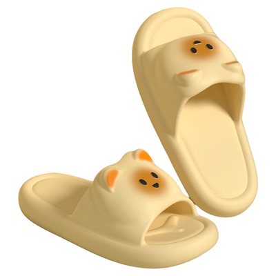 【买1送1拖鞋女款四季外穿2025】