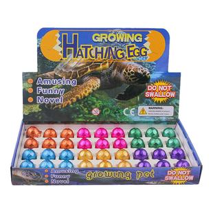 泡水创意孵化乌龟蛋仿真动物玩具吸水长大膨胀模型礼物海洋动物