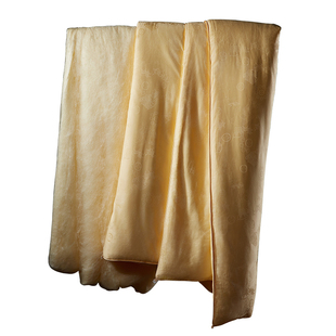 邵氏 薄被暖气空调被 黄金丝100%桑蚕丝被夏 春秋被子母被A类母婴