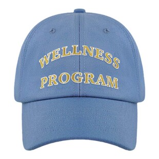 ideeaideea 点子点子「Wellness Program」学院风羊绒刺绣棒球帽