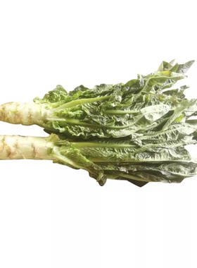 品质莴笋新鲜蔬菜当季棒棒菜莴苣农家自种时令应季菜去叶莴笋光杆