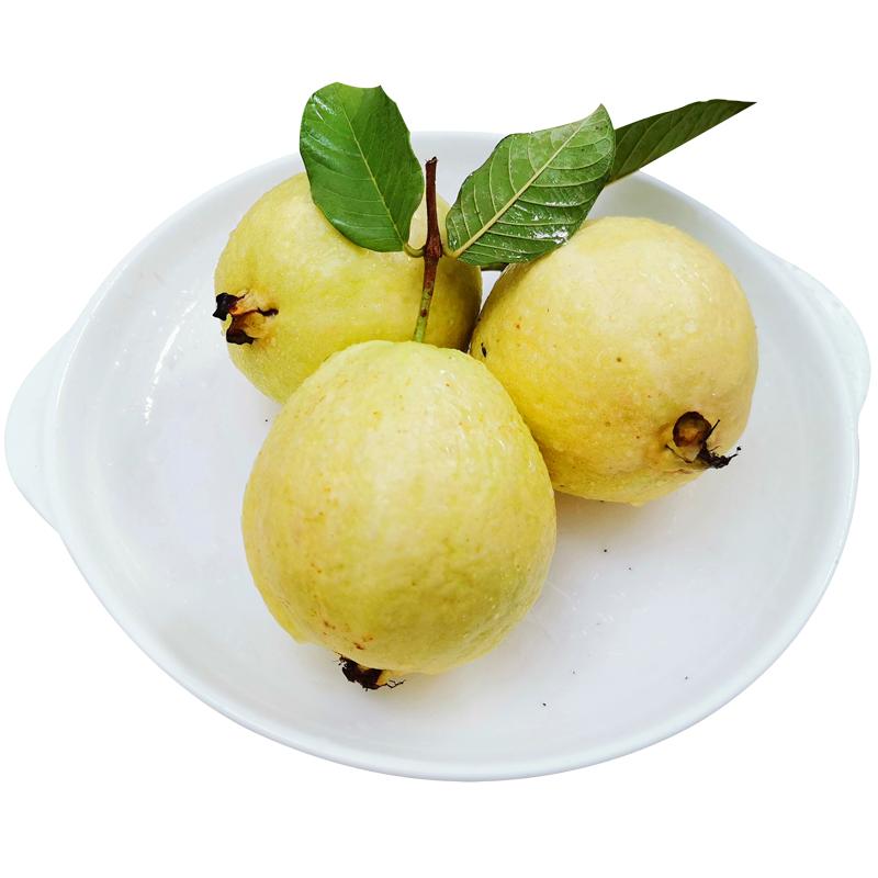 顺丰 广东奶油芭乐软糯 新鲜现摘 白心番石榴软心鸡屎果 巴乐水果