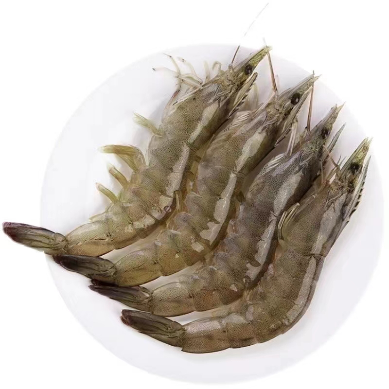 新鮮大蝦鮮活超大基圍蝦青島大蝦特大青蝦冷凍白蝦海蝦類海鮮水產(chǎn)