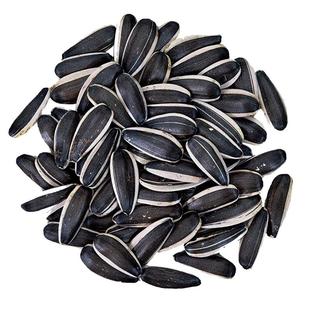 生瓜子葵花籽363品种新货特大颗粒5斤现炒原味熟瓜子内蒙五原包邮