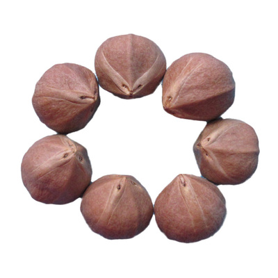 橄榄核雕原籽文玩菩提子单颗