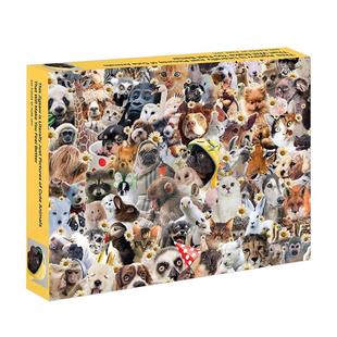 【现货】疗愈宠物拼图500片英文文创拼图进口原版盒装This Jigsaw is Literally Just Pictures of Cute Animals That Will Make