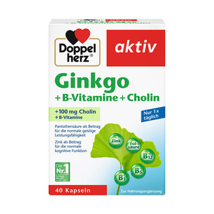 德国 双心 银杏叶 精华 Doppelherz Ginkgo+B-Vitamine+Cholin