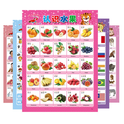 宝宝认知挂图早教启蒙识字墙贴画