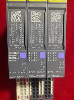 溢价-ET200SP模块，134-6GF00-0AA1,实图