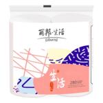 丽邦卷纸家用实惠装卫生纸厕纸厕所专用手纸无芯卷筒纸两卷共280g