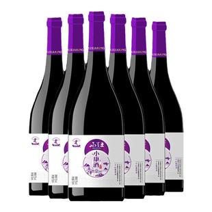 星星的故乡西夏王小康赤霞珠干红葡萄酒宁夏贺兰山红酒整箱6支装