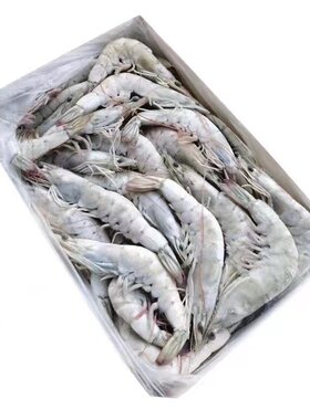 盐冻海捕新鲜大对虾活虾速冻虾