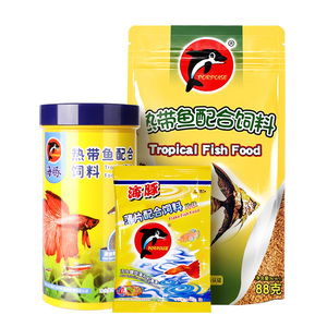 孔雀鱼小颗粒灯科鱼斗鱼血鹦鹉