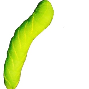 灌云豆丹连云港特产豆丹肉新鲜现擀豆单食用昆虫高蛋白豆虫黄豆虫